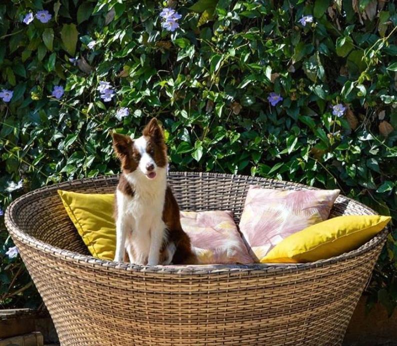 Villa Aye Pousada Boutique Petfriendly Socorro  Exterior foto